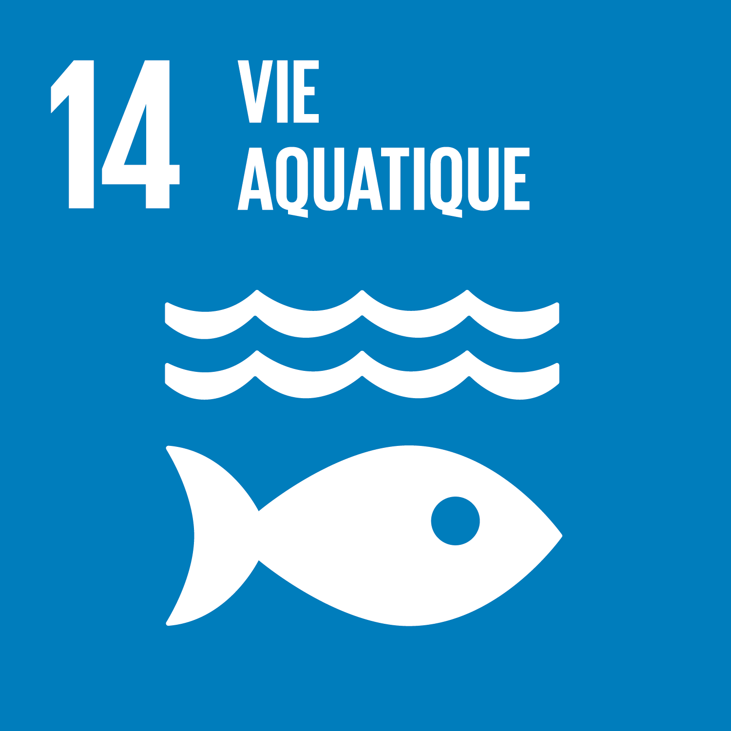 World Oceans Day