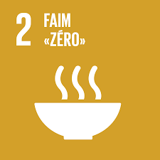 World Food Day