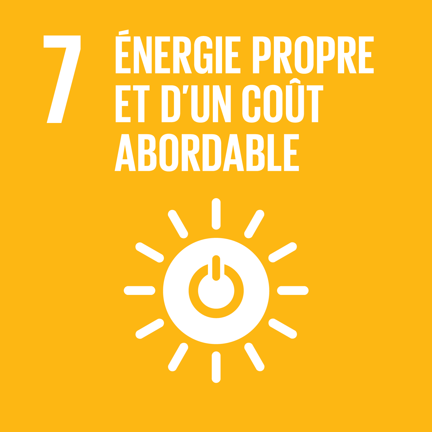 World Energy Day