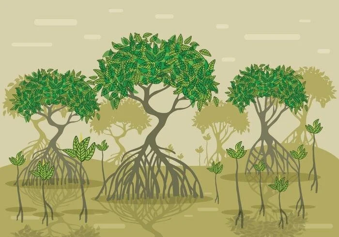 Mangroves' Day