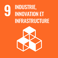 Africa Industrialization Day