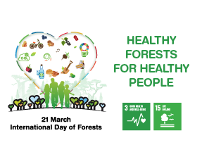 Day of Forests