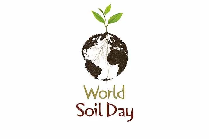 World Soil Day 