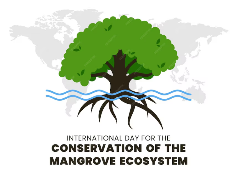 International Mangroves’ Day