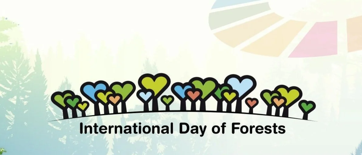 International Day of Forests