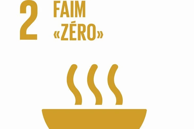 World Hunger Day