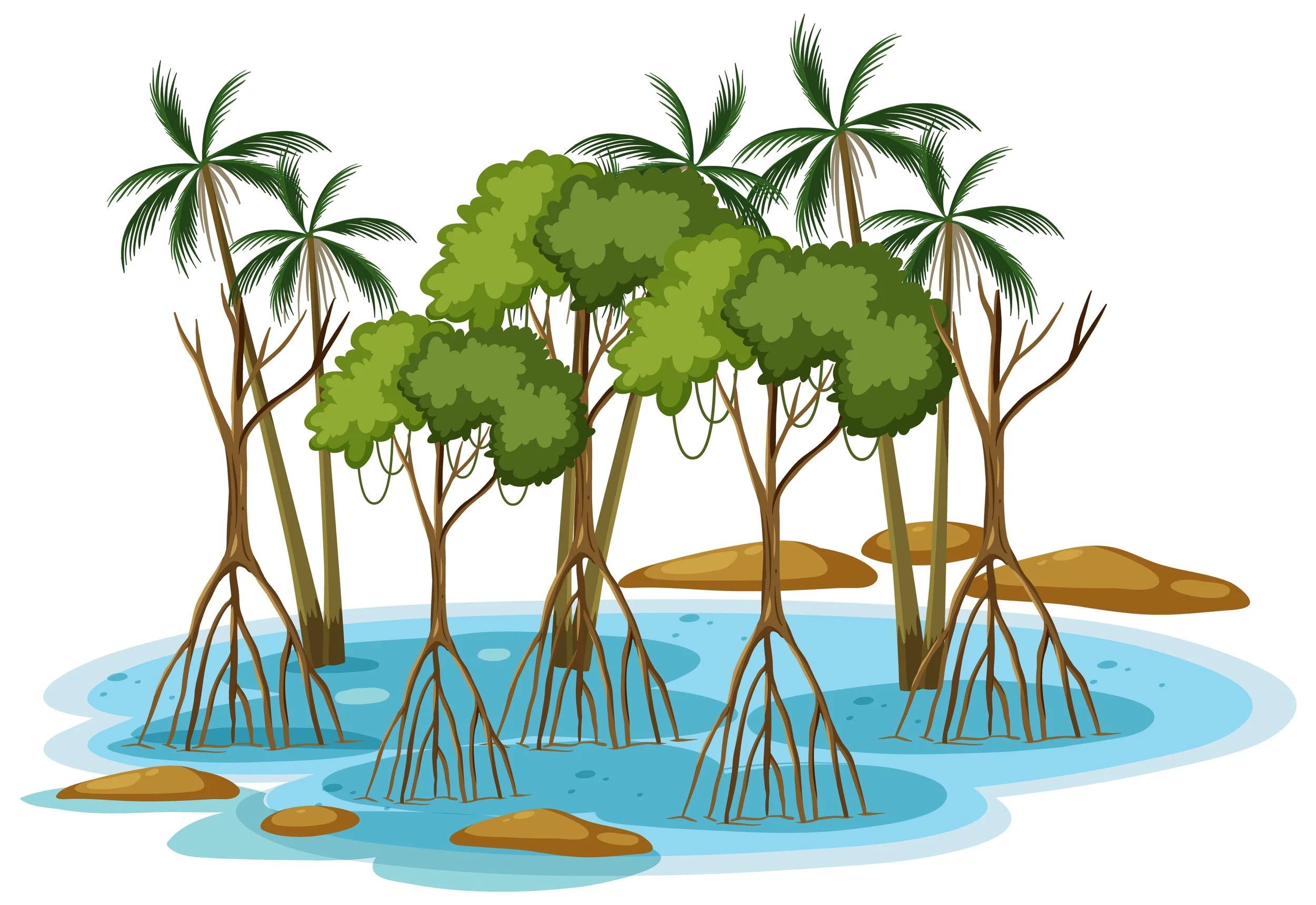 International Mangroves’ Day