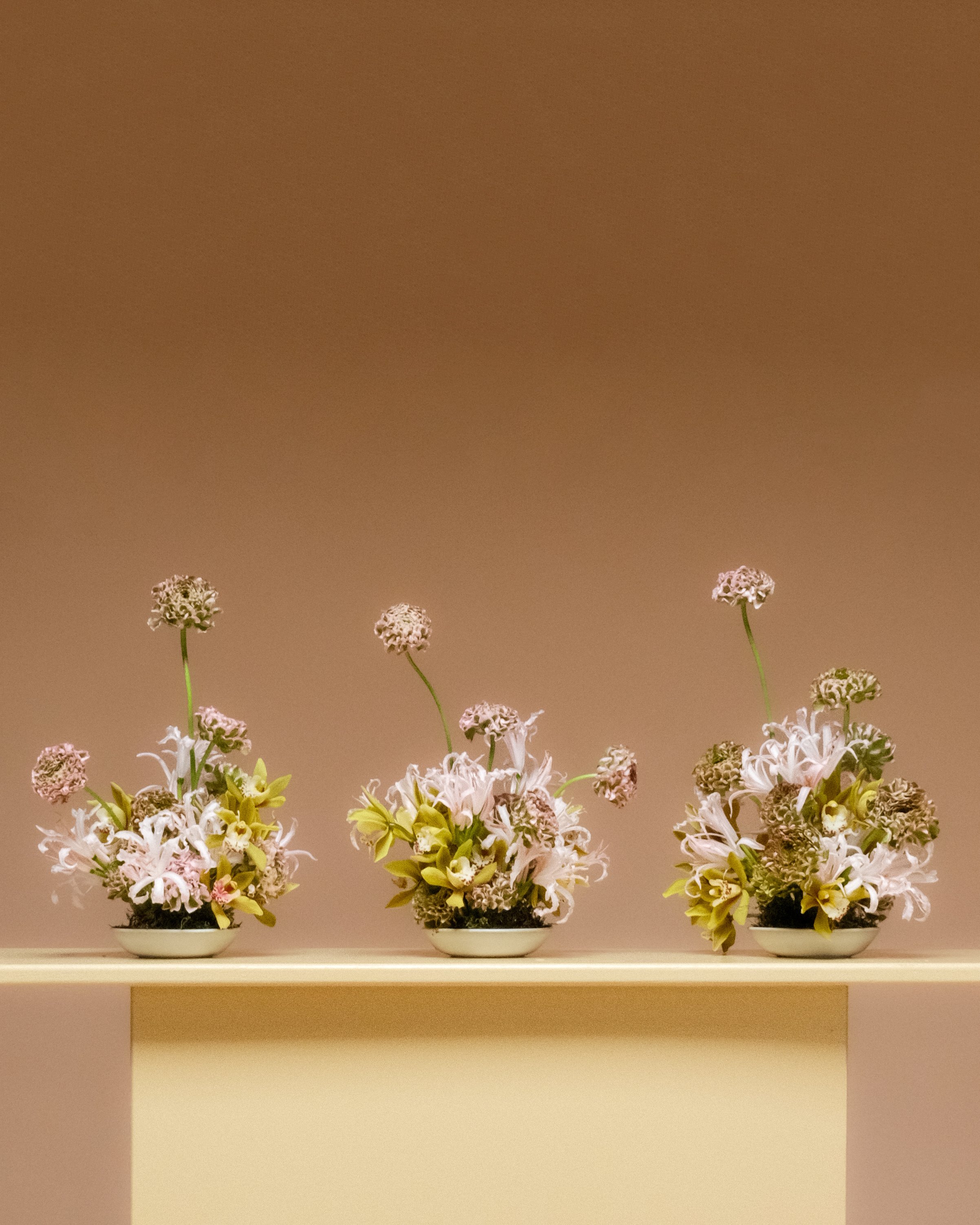 Trio + Standard Affair