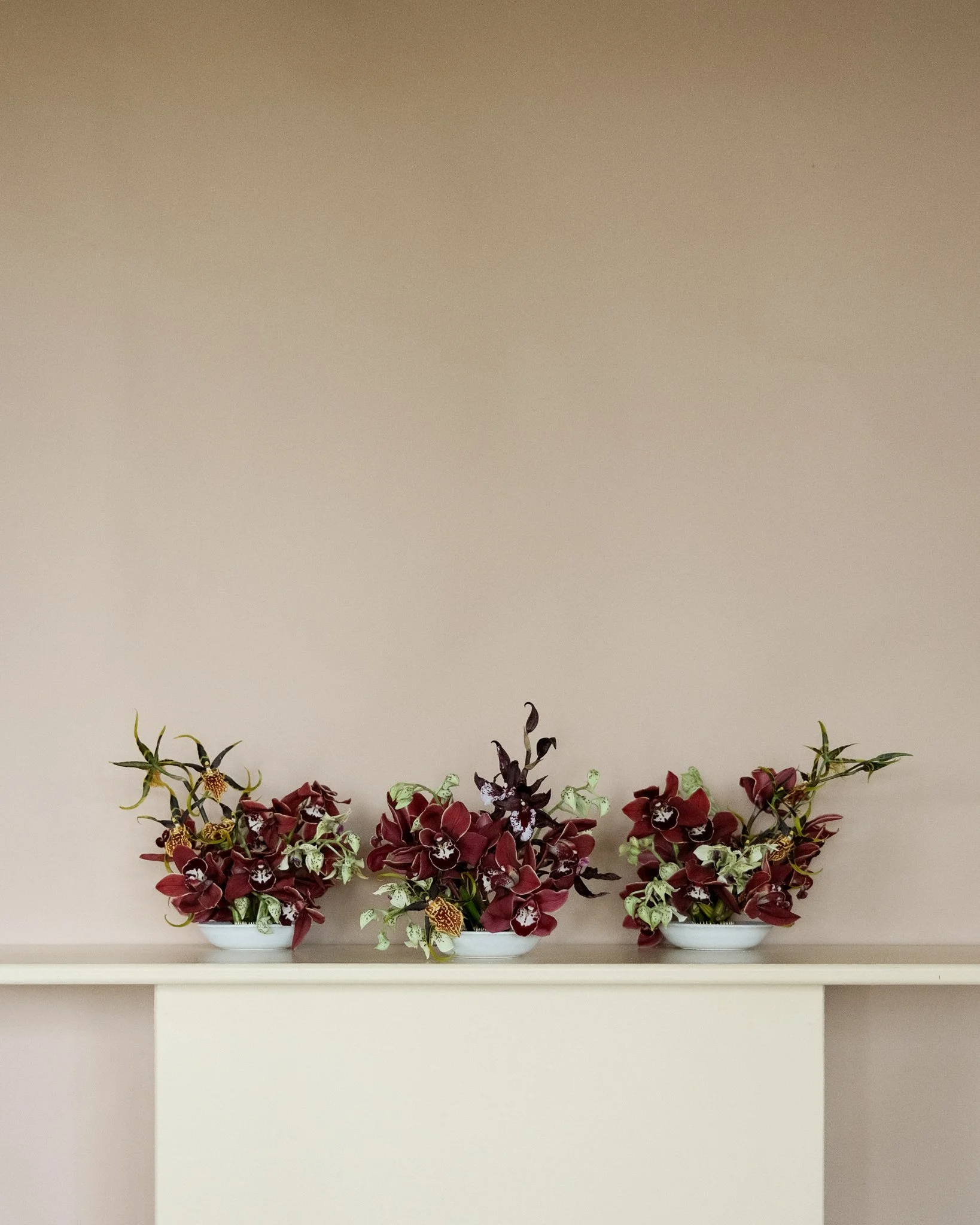 Trio + Standard Affair