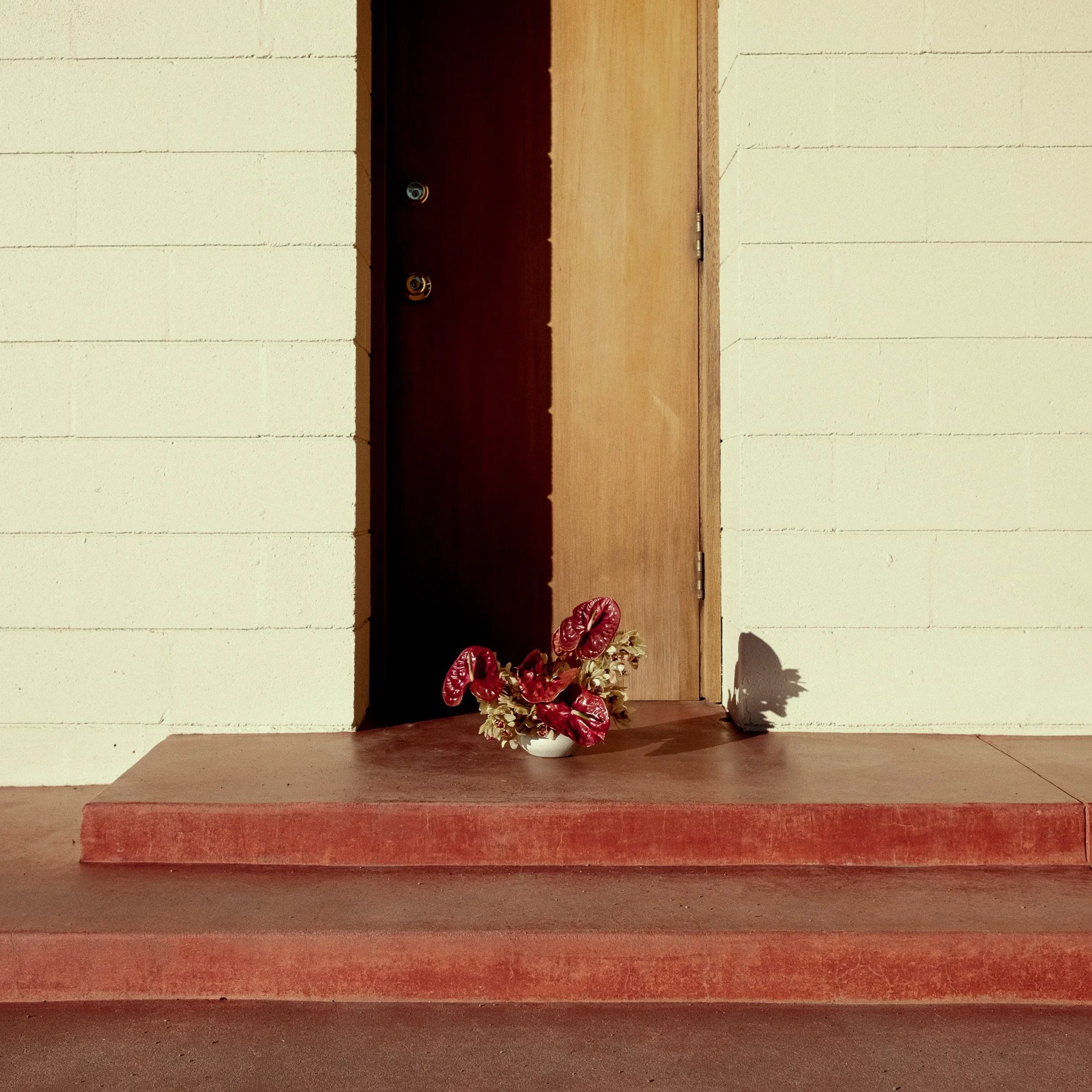 Complimentary Delivery