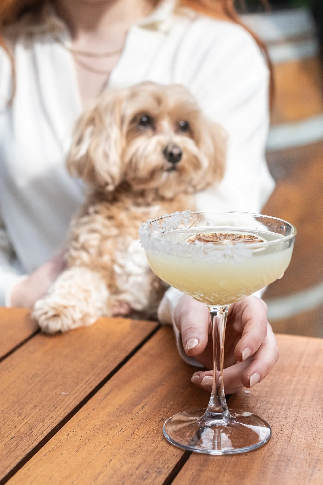 EVHB 20240806-3380.jpg