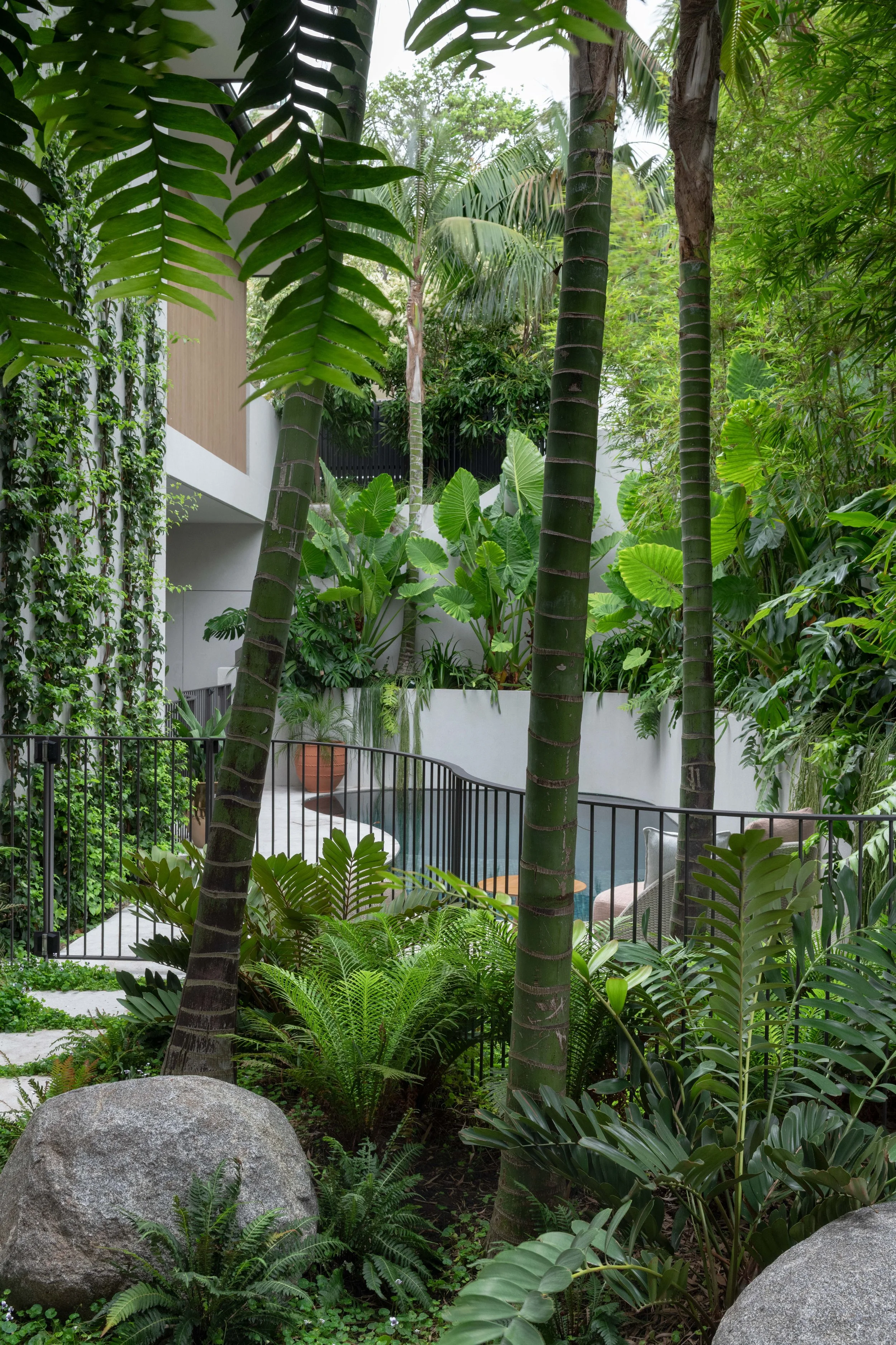 Kalista, Kirribilli