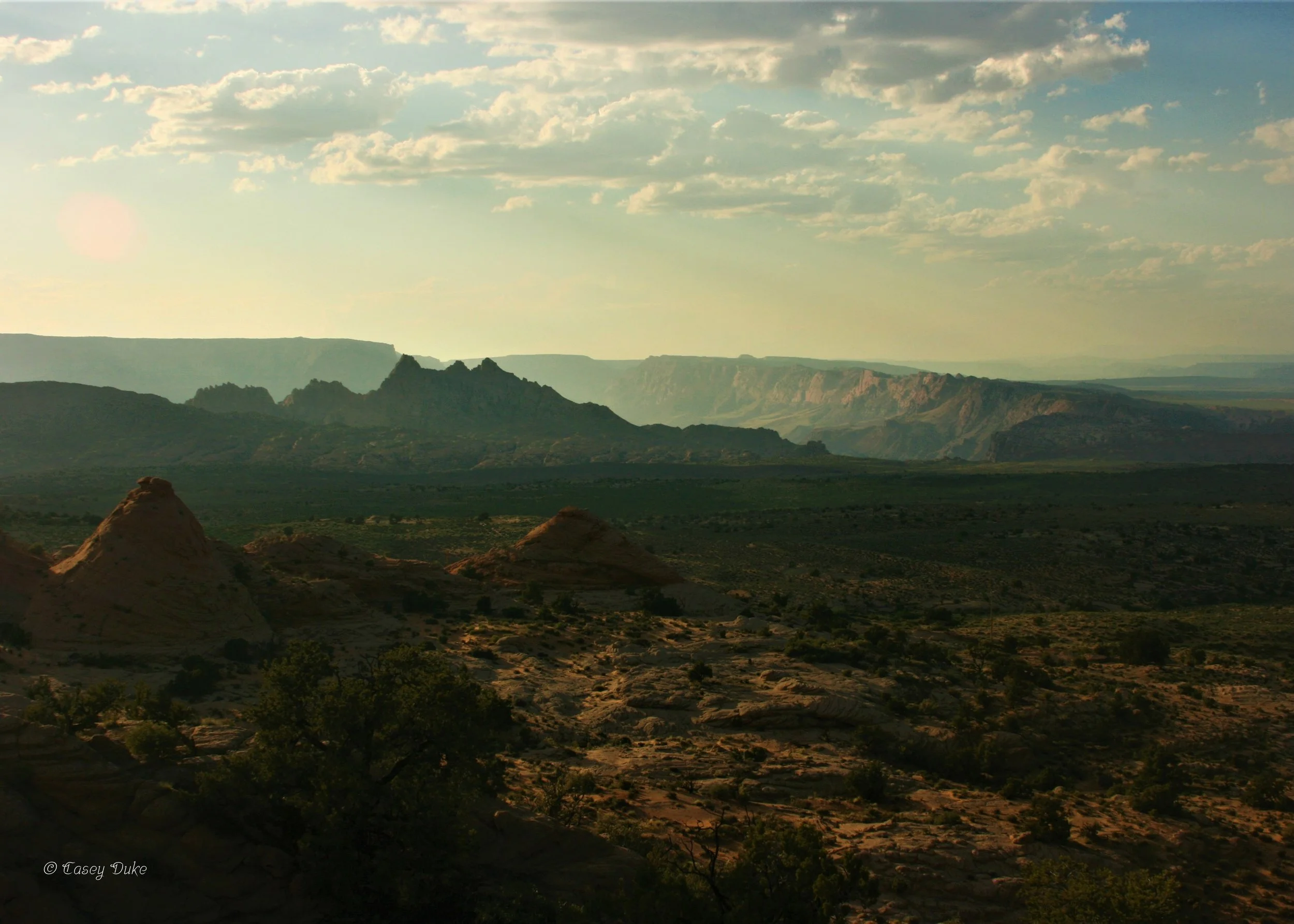 Arizona 2019.jpeg