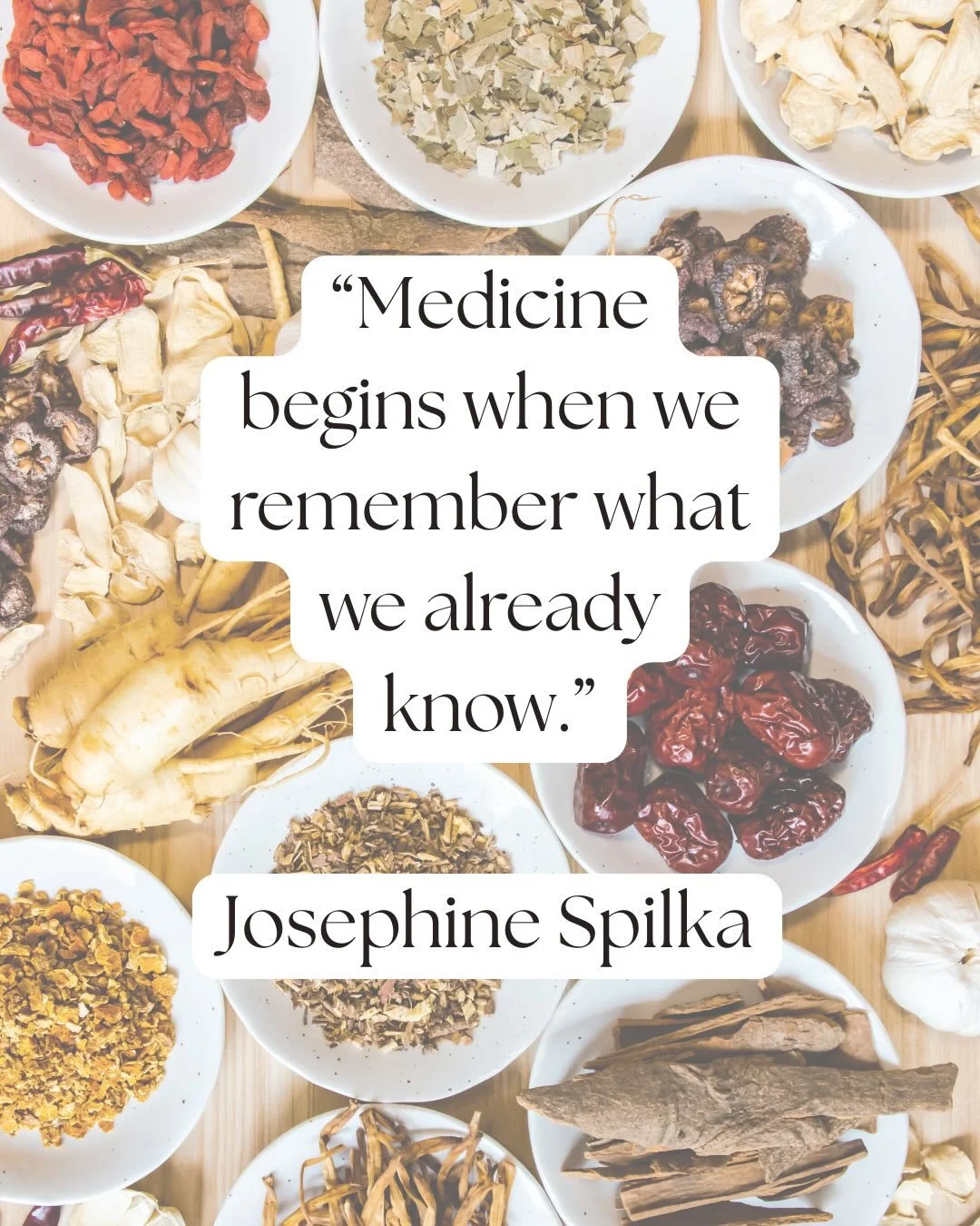 6 days left for early bird prices on &ldquo;Heart in the Clinic&rdquo; and &ldquo;Three Legged Vessel&rdquo; &hearts;️🙏 click the link in our bio @ezense_wellbeing for more ✨🫶