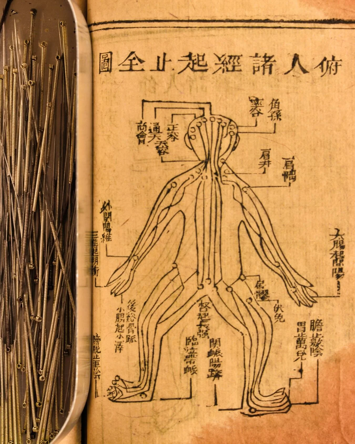When the nervous system softens, the mind clears.
When energy moves, pain loosens its grip.
When circulation deepens, the spirit lifts.

A needle is small &mdash;
but so is a seed.
And from the smallest openings, change begins.