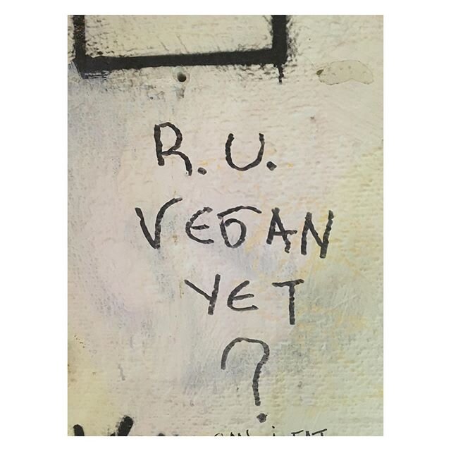 Graffiti seen in Athens, Greece last September.
🌱
We love that our followers are a mix of vegans, non-vegans, and vegan-curious folks. This was just too good not to share though!
🌱
Sound-off in the comments! &ldquo;R.U. vegan yet?&rdquo; If so, wha
