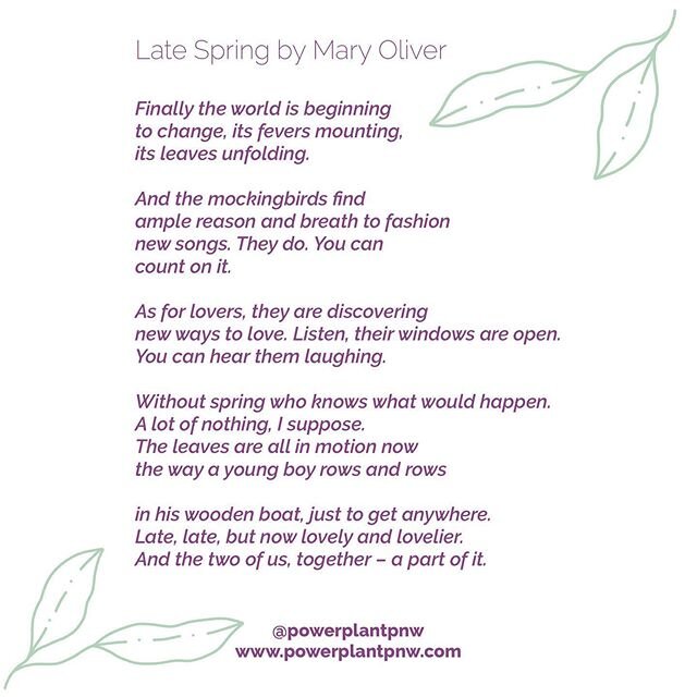 Food is art. It tells stories, captures moments&hellip; Stirs all kinds of feelings. This poem by Mary Oliver is eerily potent during the current global crisis&rsquo; intersection with the spring. It captures so well what we were striving to convey w