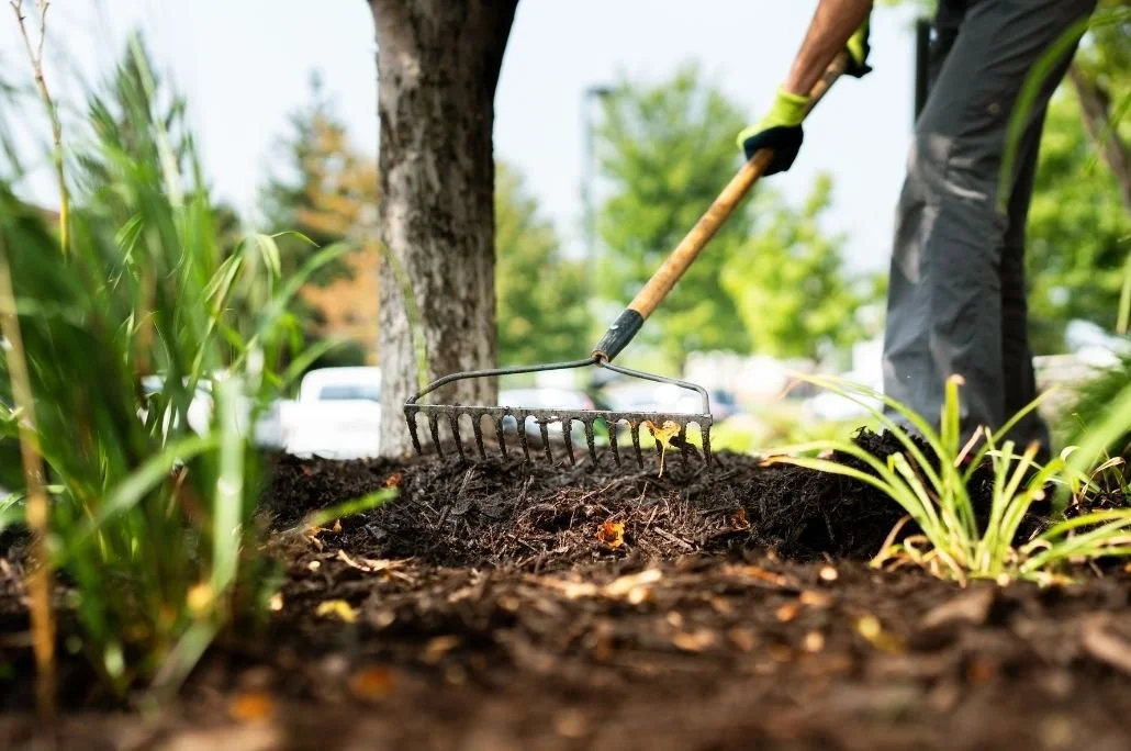 Man raking mulch in a garden