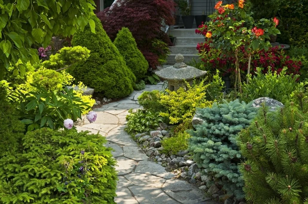 Garden with shrubs and stone path and decorative elements