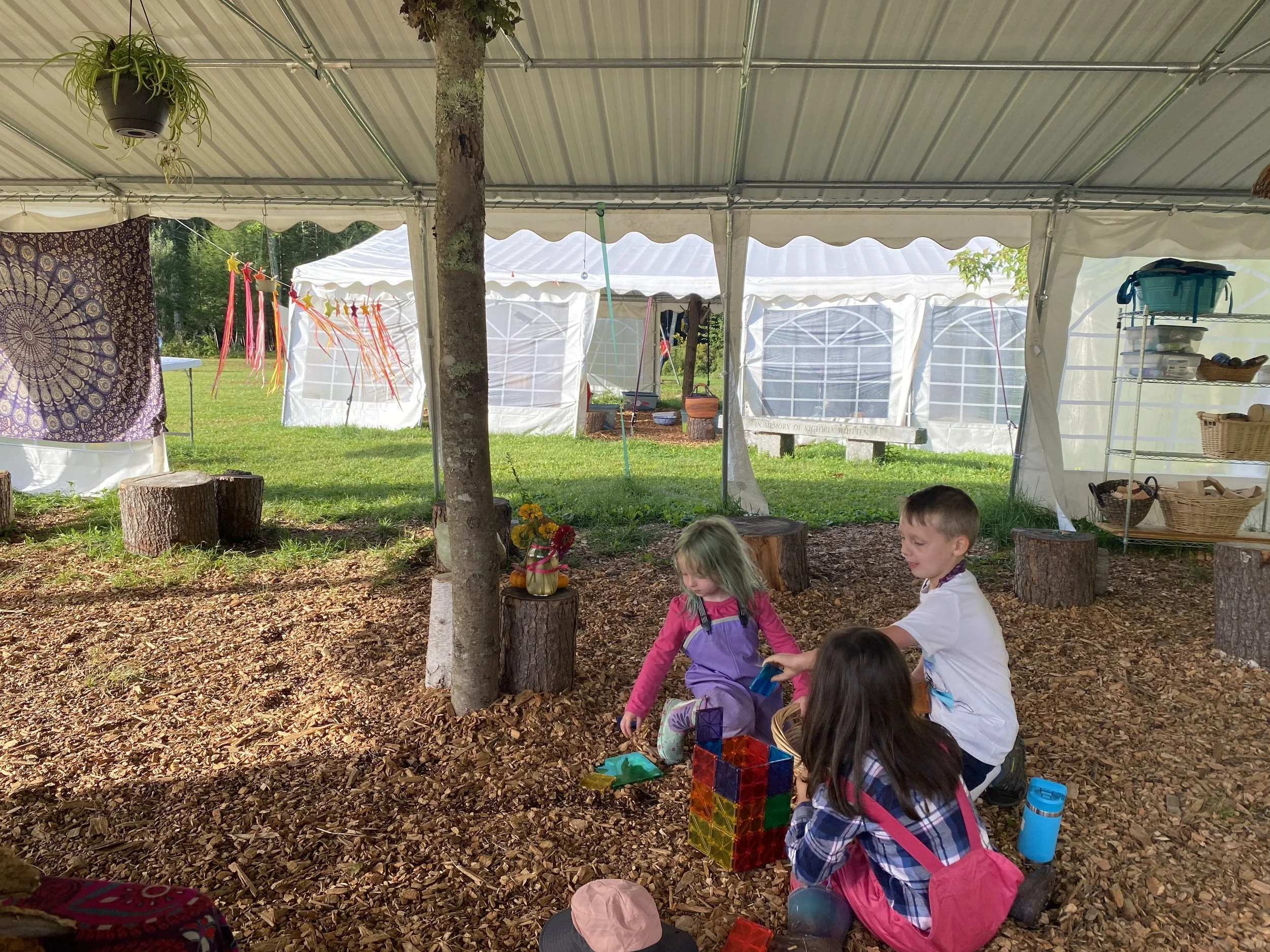 OUTDOOR CLASSROOMS ARE GOOD FOR THE SOUL..and your health. OUR NEW REALITY AT SEACOAST WALDORF SCHOOL.