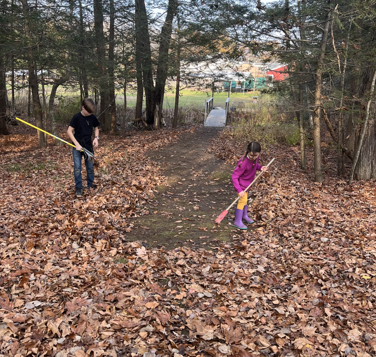 Community Clean-up Day