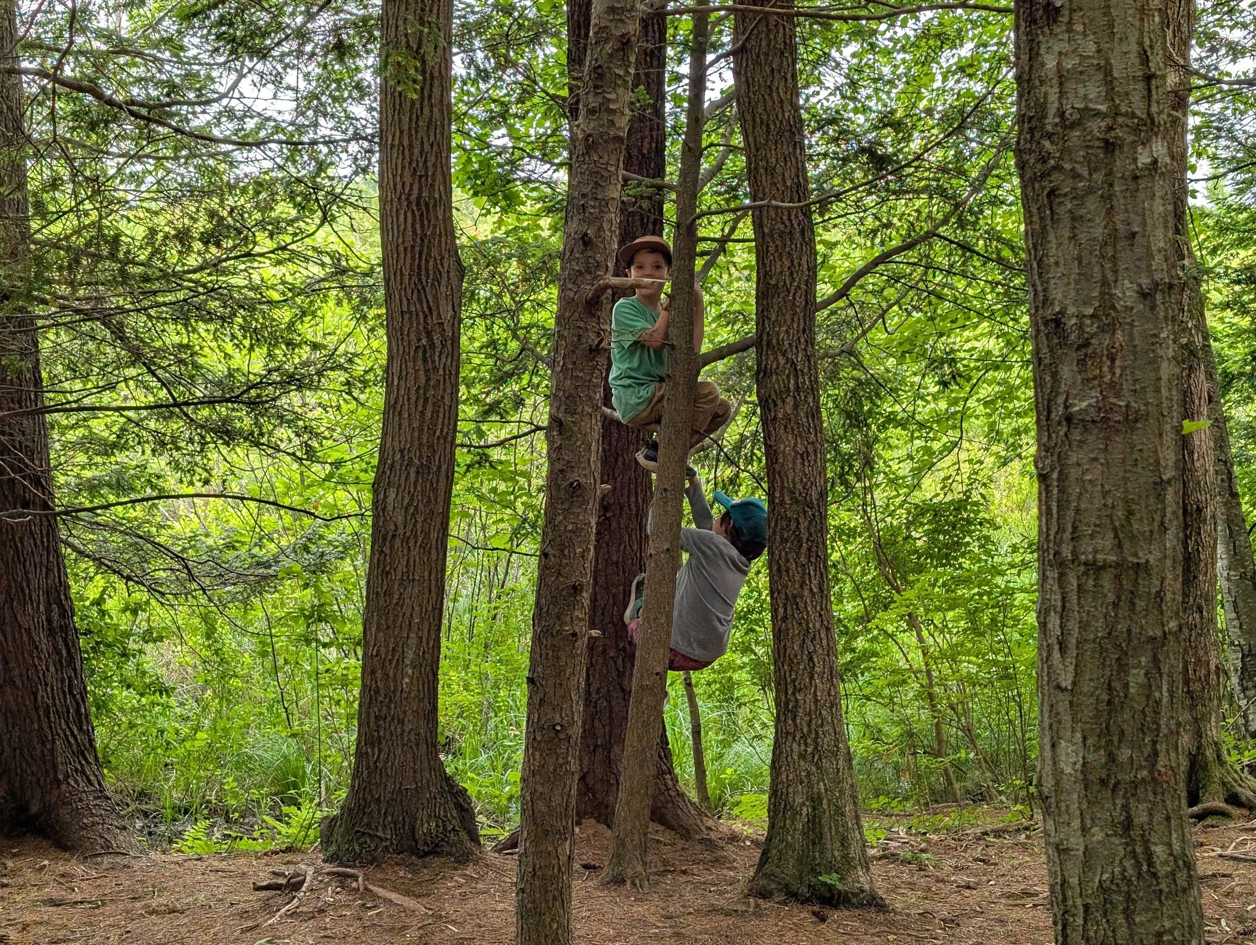 Everyone Learns Differently. Here’s Why it Matters.