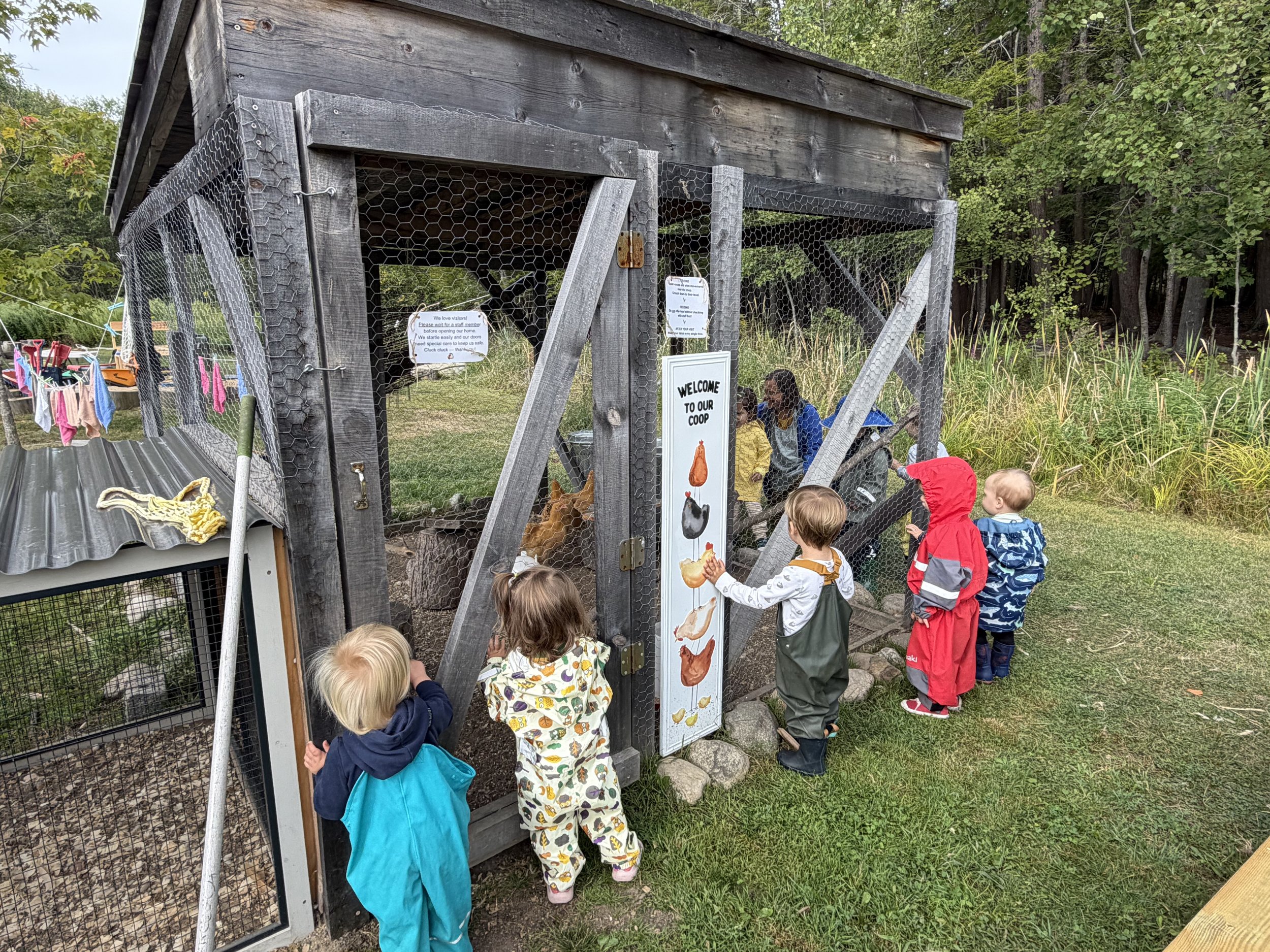 What Does a Waldorf Early Childhood Day Look Like?