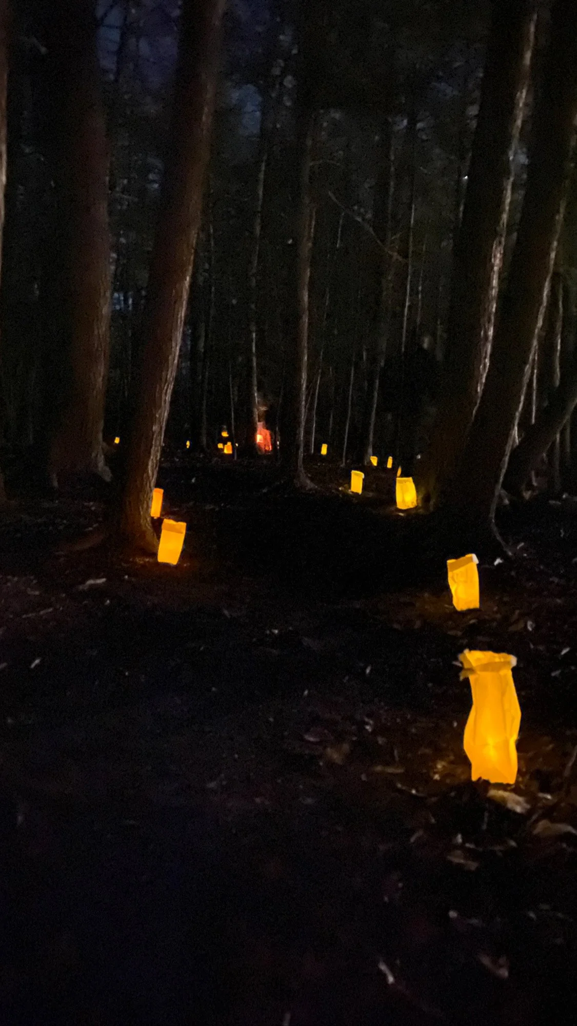 Lantern Walk - Festival