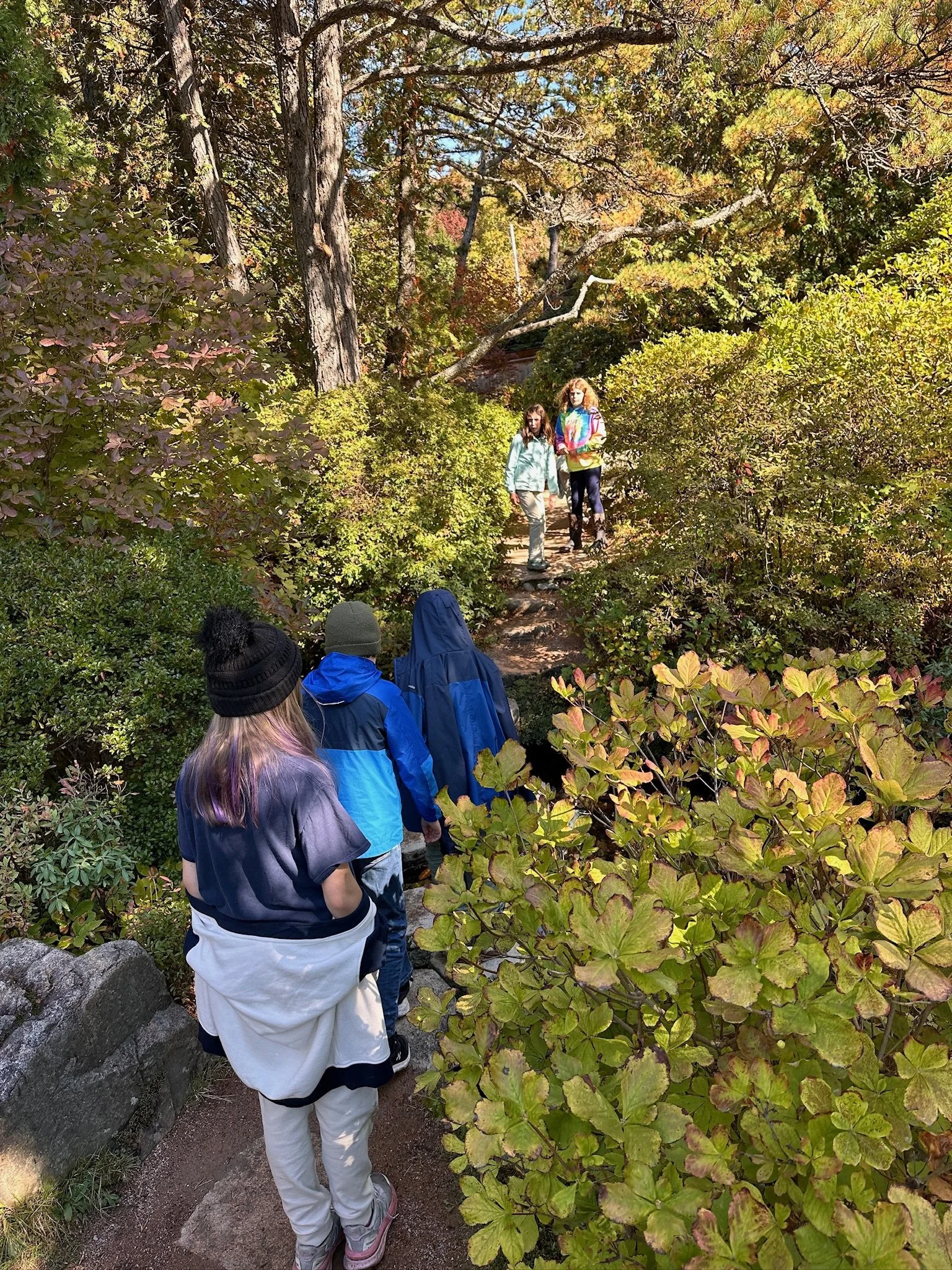 The Attention Economy is Stealing Childhood. Seacoast Waldorf School Is Fighting Back.