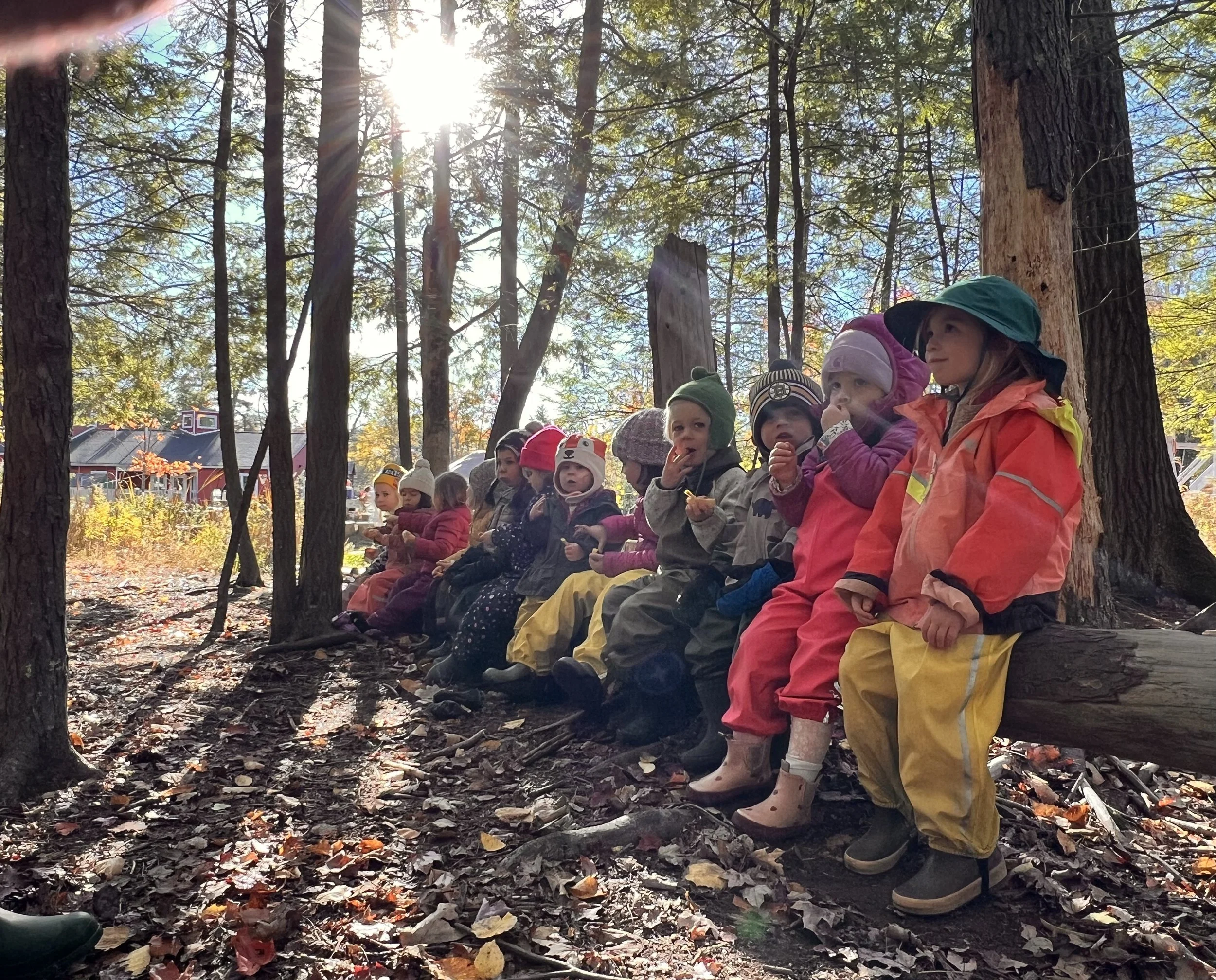A group of children wearing colorful jackets and rain boots sitting outdoors on a log in a wooded area during daytime, with sunlight filtering through the trees.