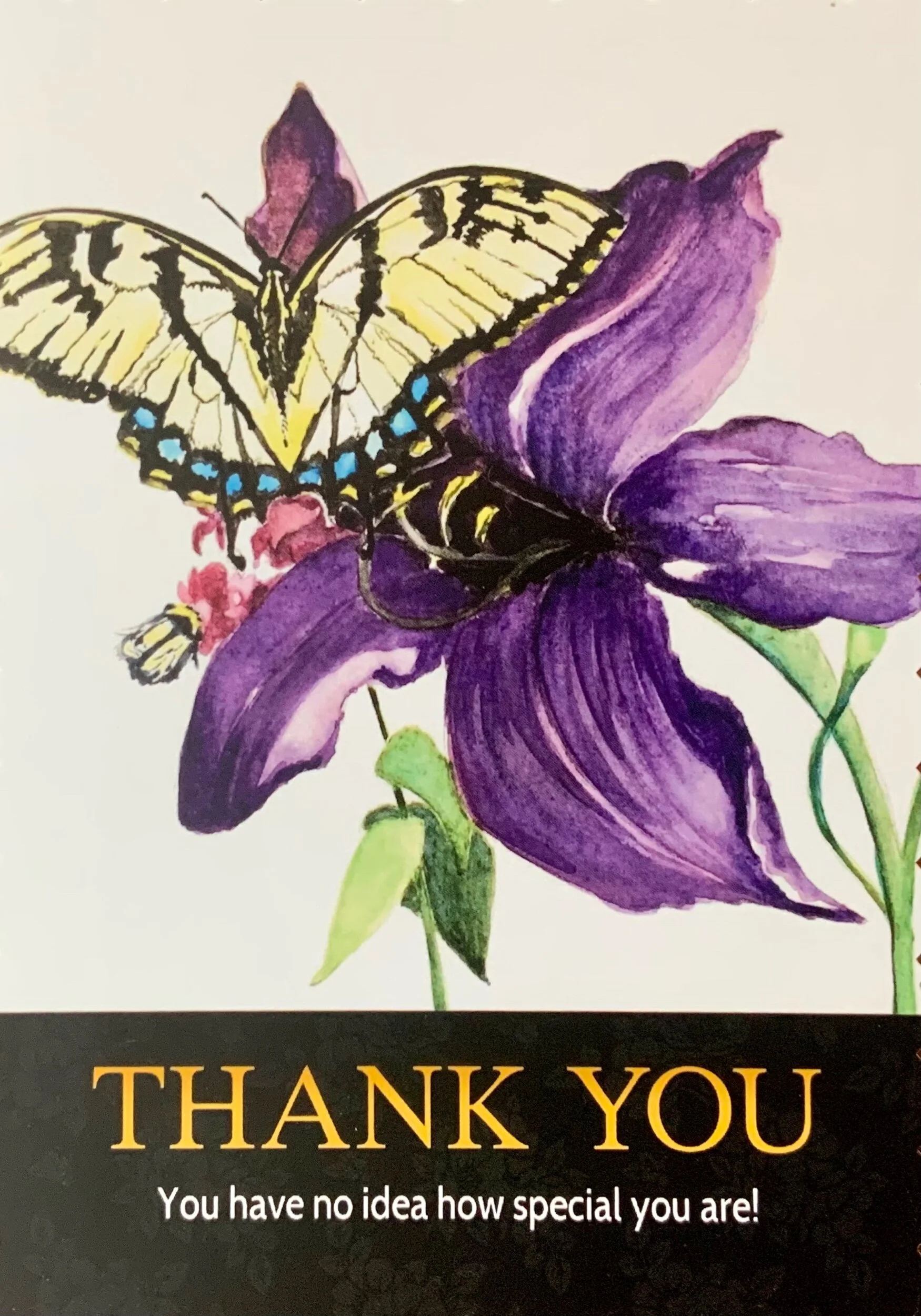 5049E577-EF1E-4A56-A844-15A5B363C42E