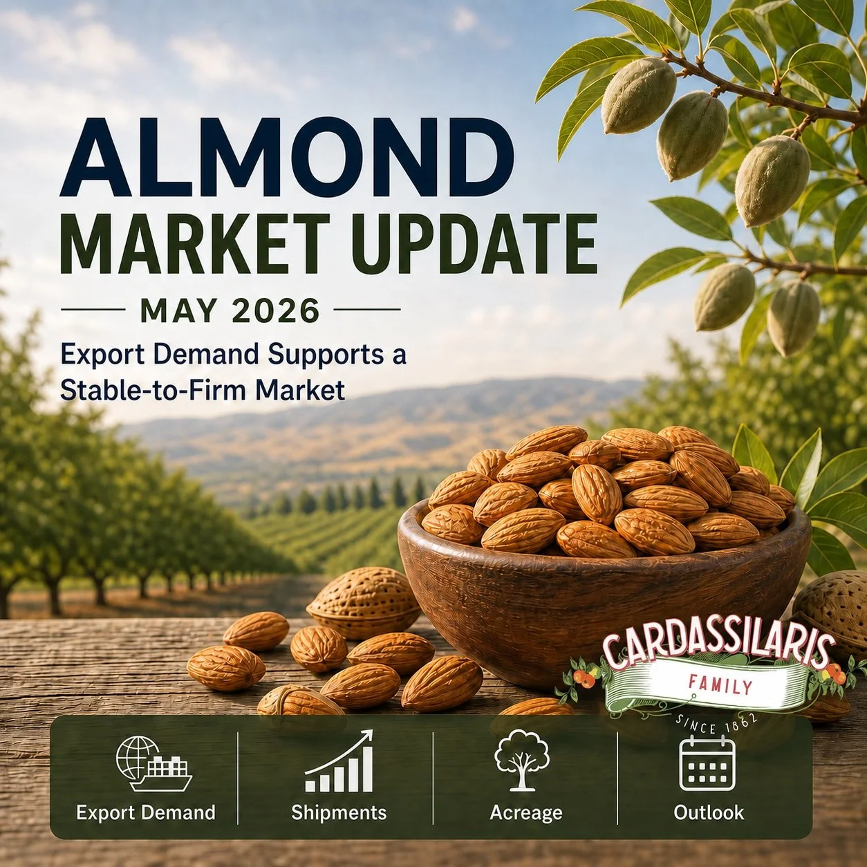 Almond Market Update May 2026: Export Demand Supports a Stable-to-Firm Market