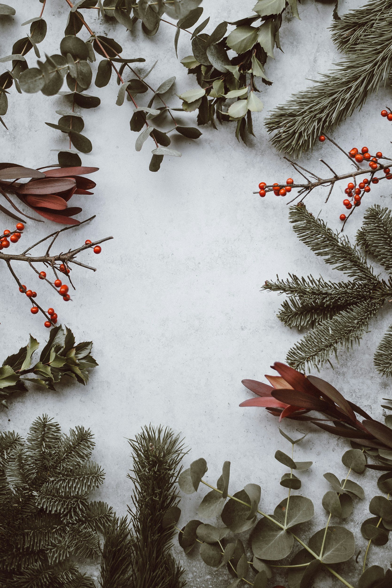 unsplash-image-Ee7C9fGiZI4.jpg