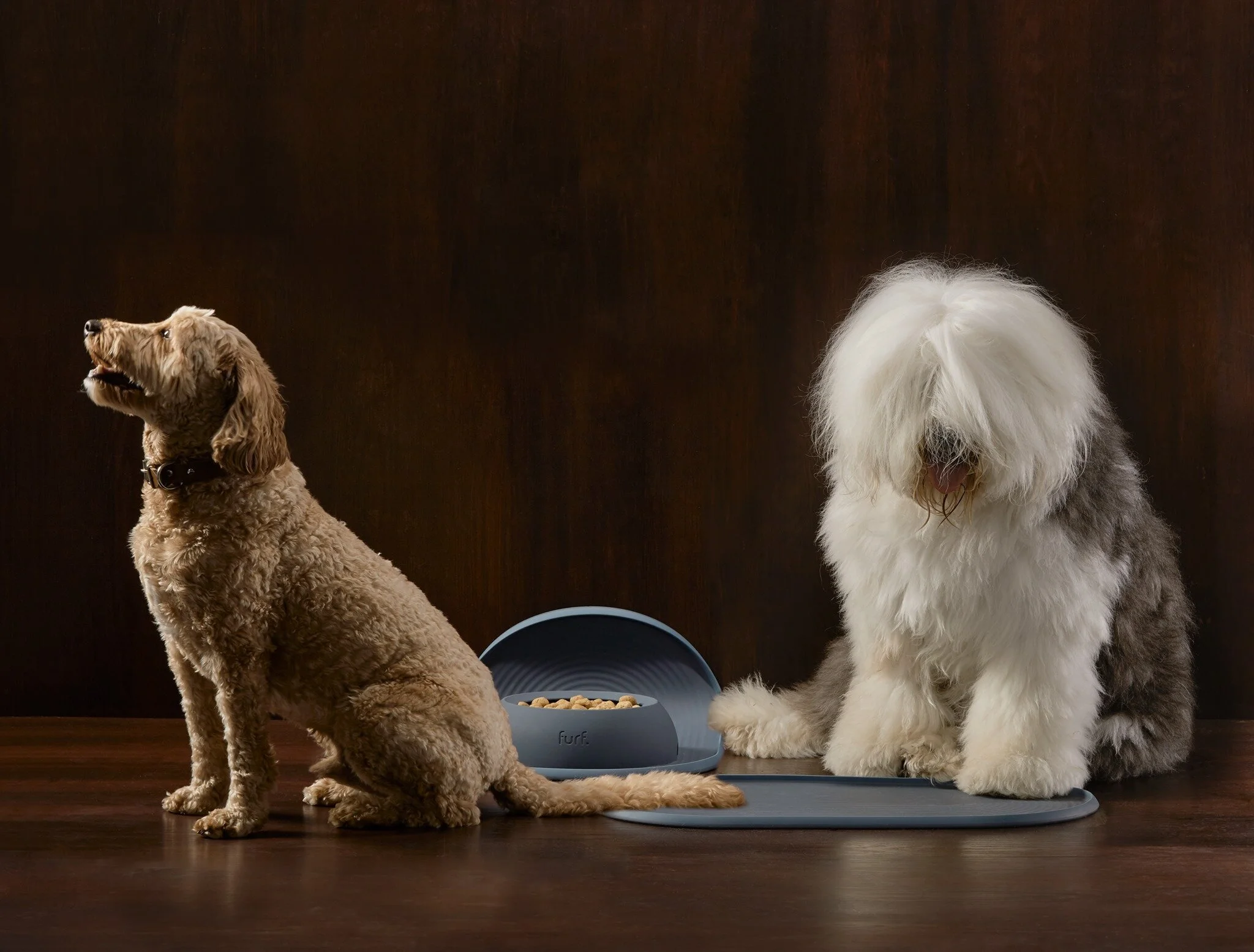 Dulux Pet Bowl &amp; Mat Offer