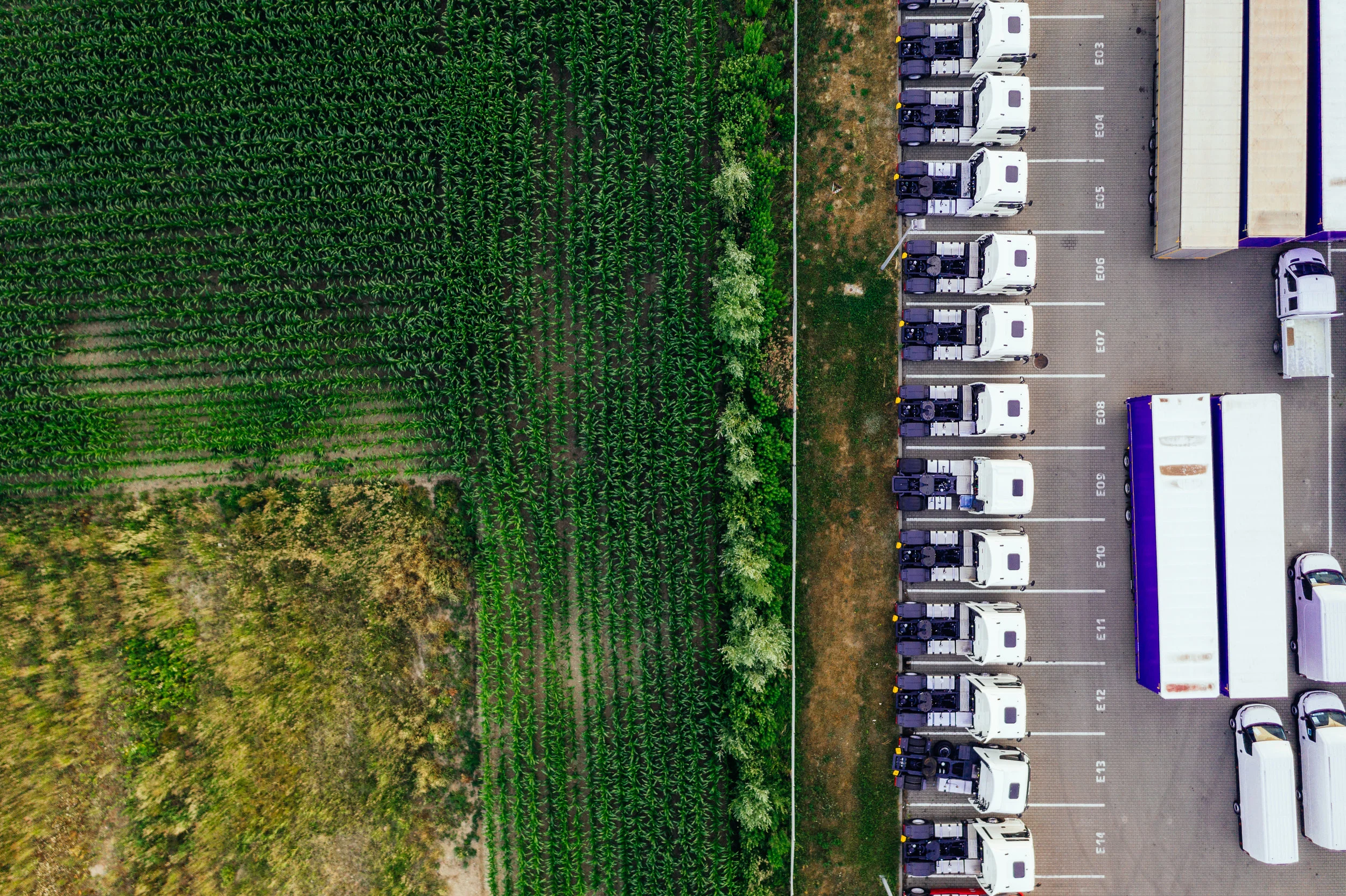 Trade Policy for the New International Economic Order:  A Sustainable Development Model for Trade in the Midst of International Protectionism and Decentralization