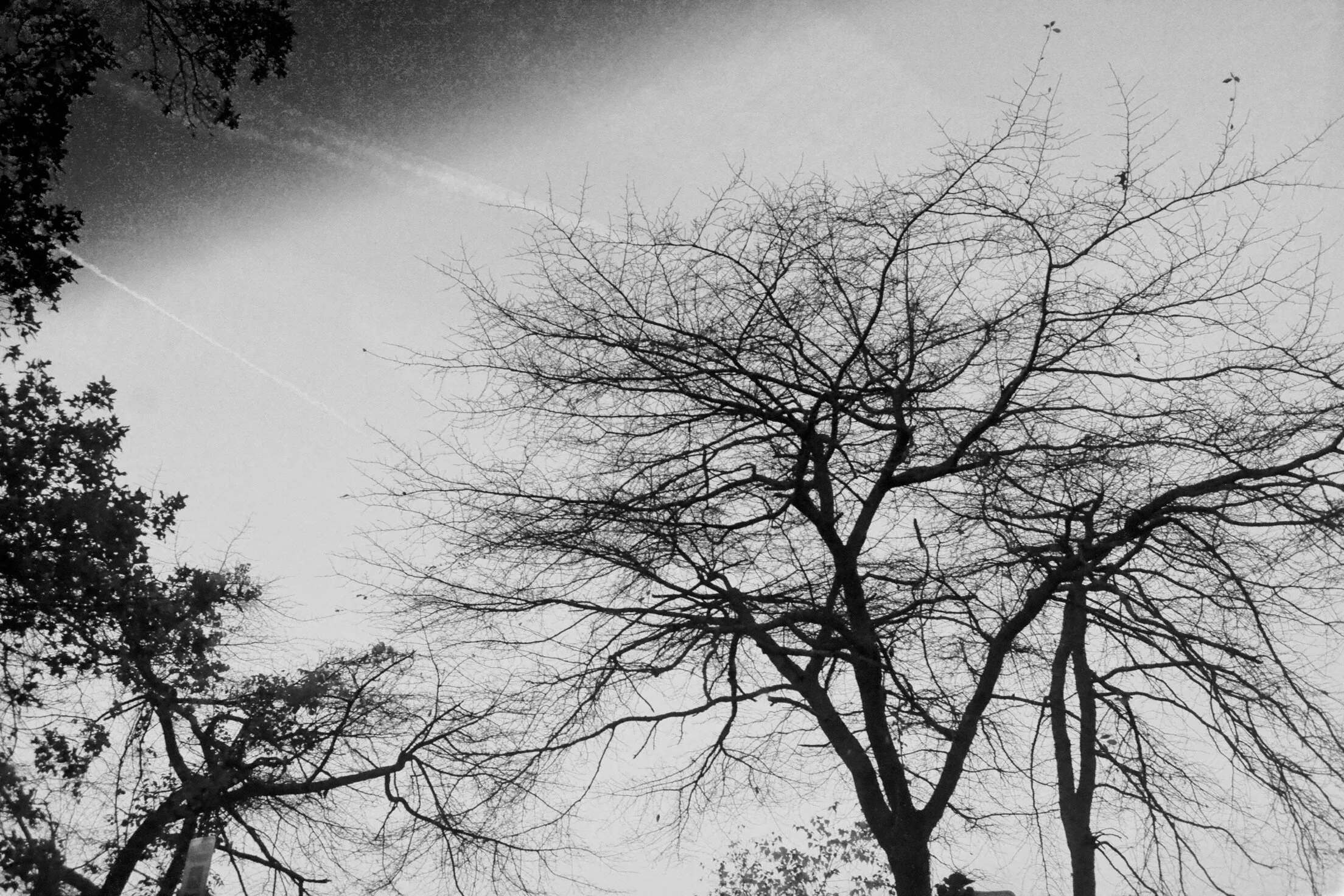 7DC741CD-575D-4F4B-9289-B965C009A269.jpeg