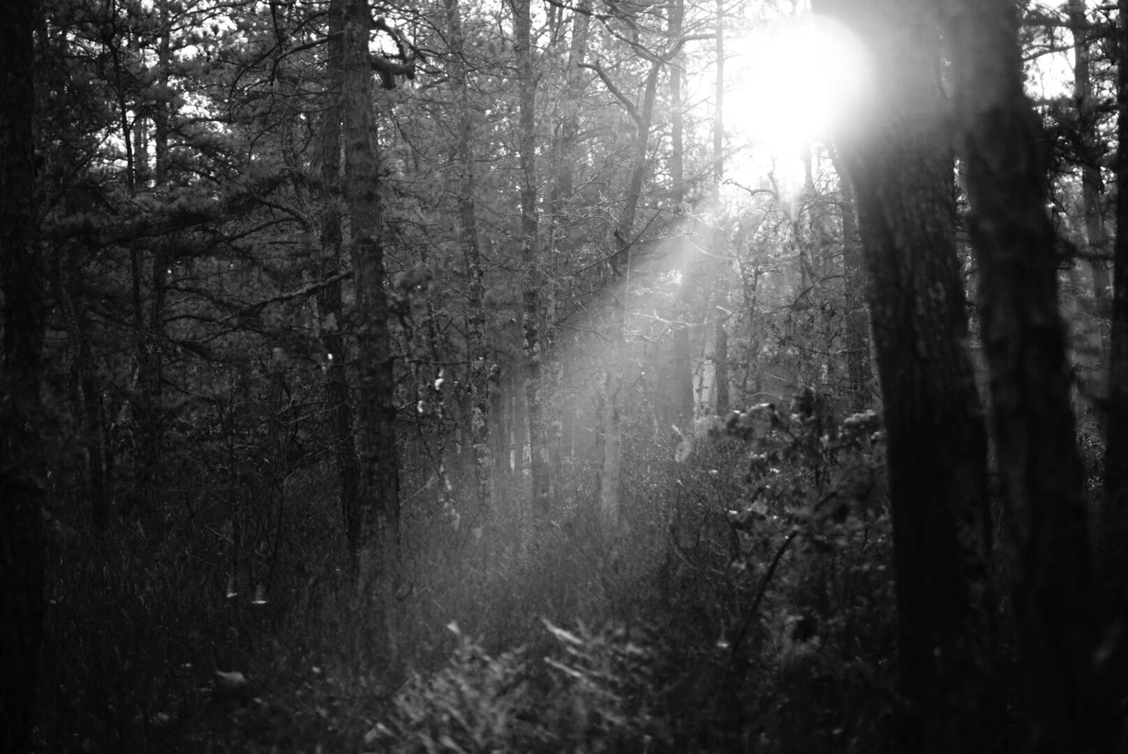 9F616DFB-094A-4008-A674-131A98694234.jpeg
