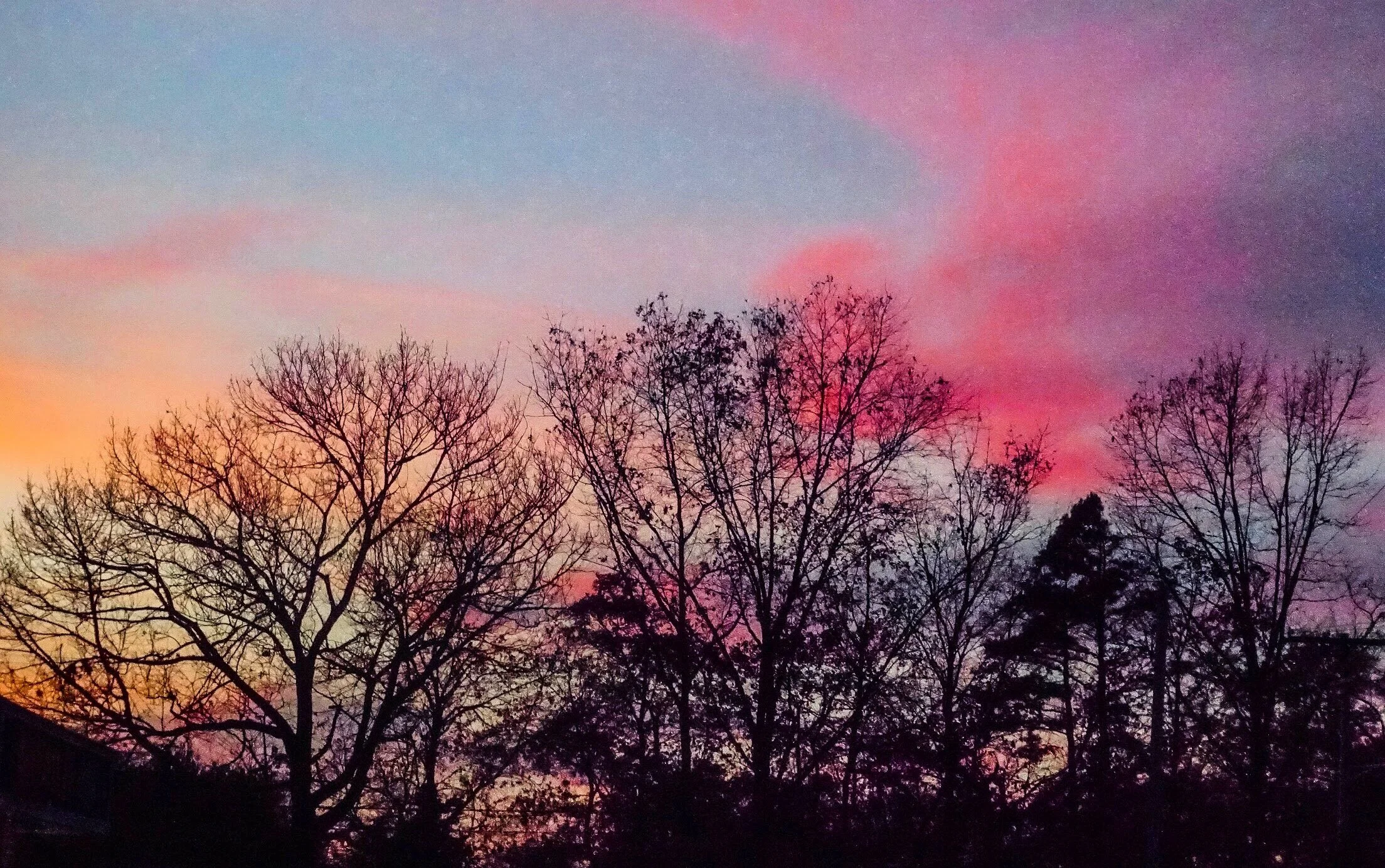 8682FA2F-2D35-437C-BD46-B1829A26B013.jpeg