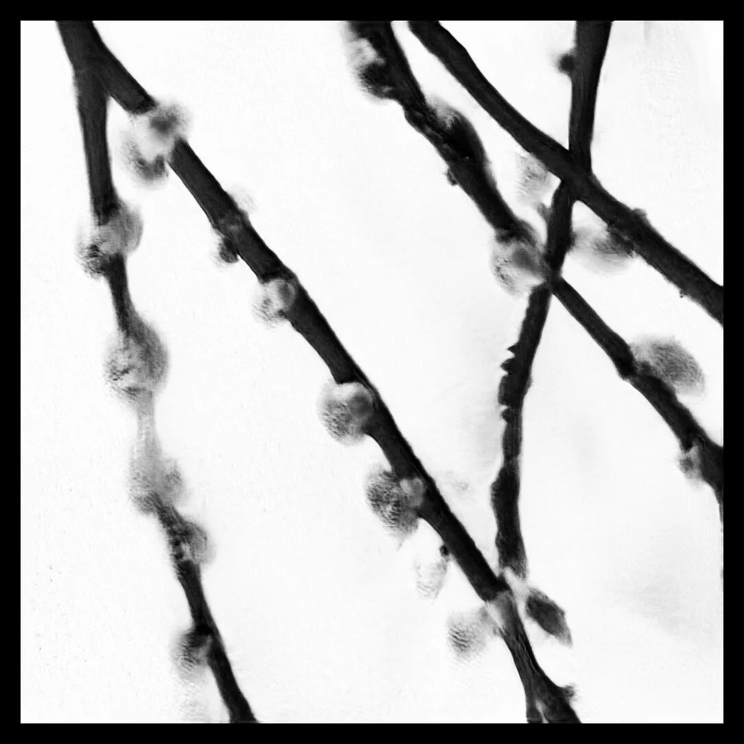 Willows (2020) and Lover's Hands (2020)