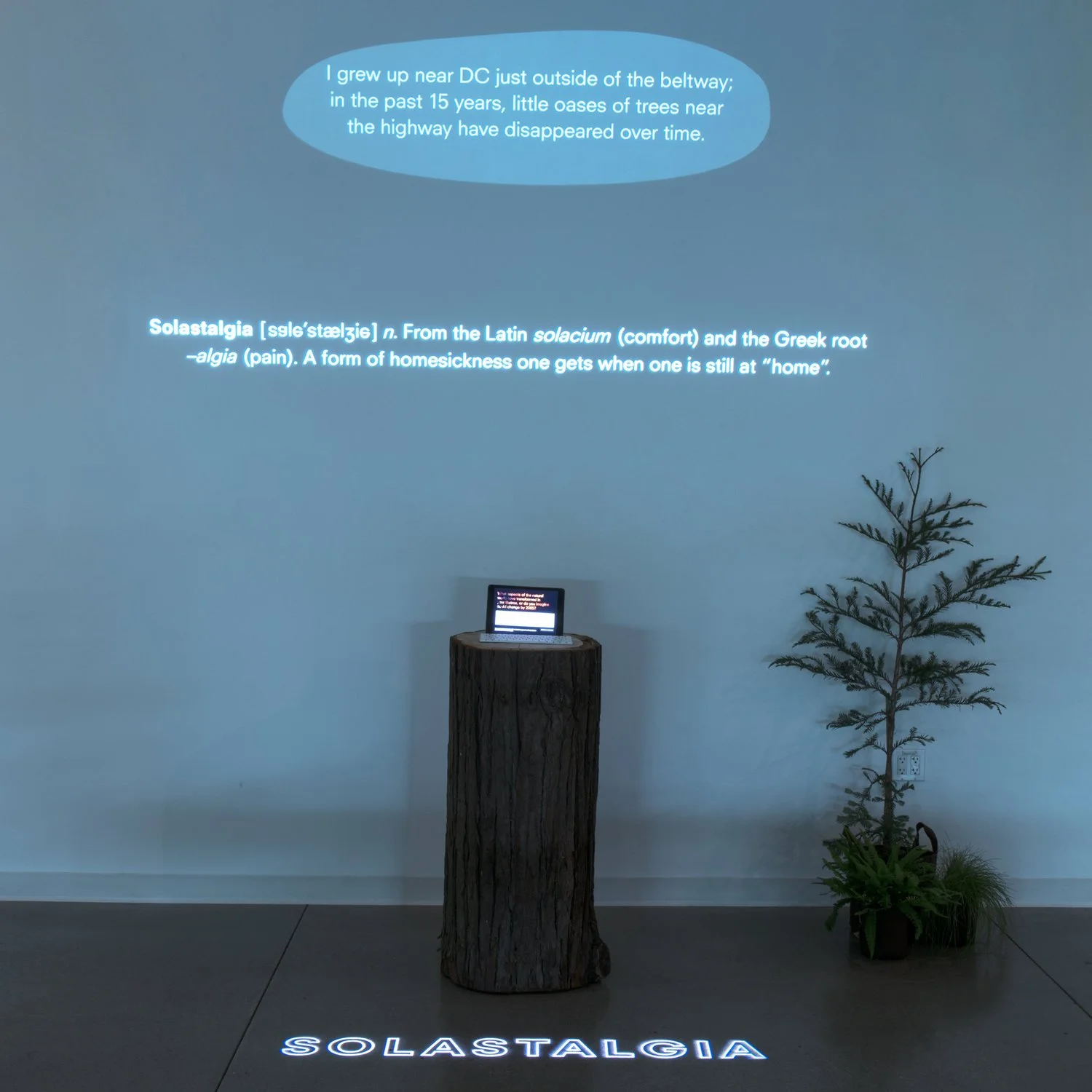 Solastalgia (2017)