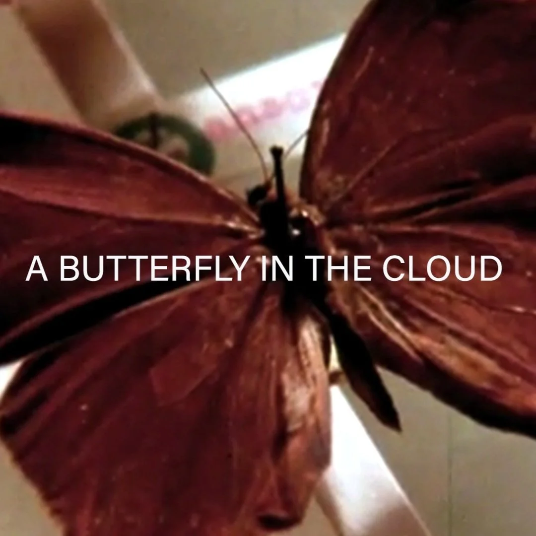 A Butterfly in the Cloud (2021)