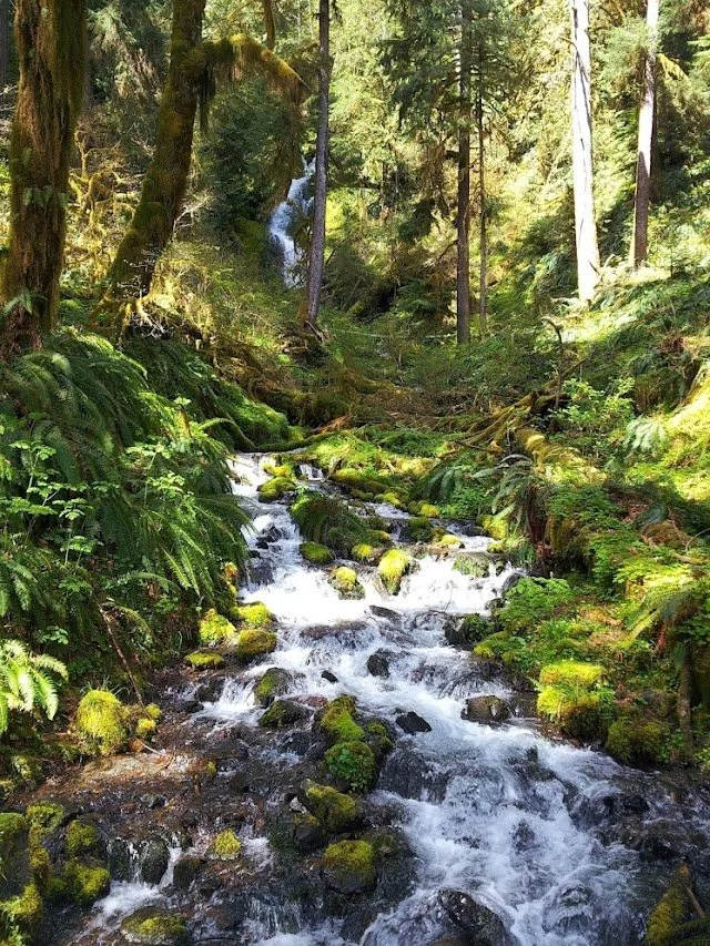 waterfall-orig.jpg