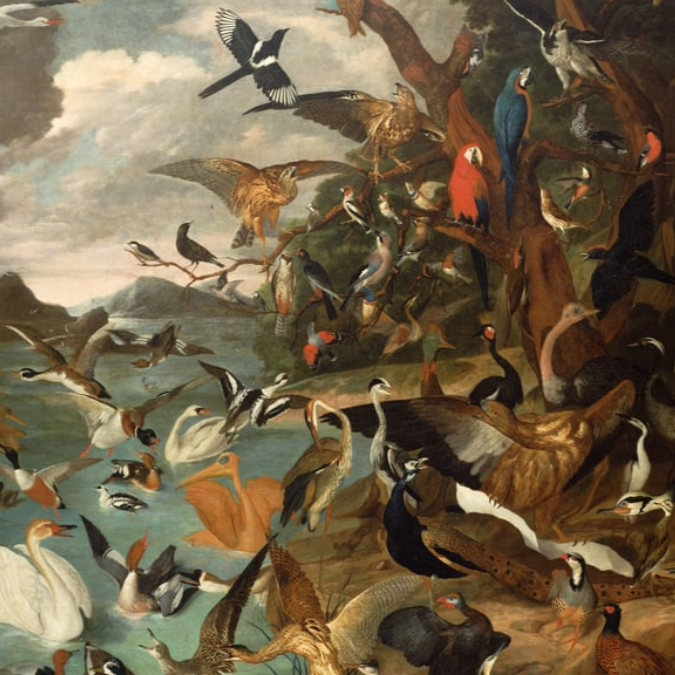 Stochastic Flocks and the Critical Problem of "Useful" AI