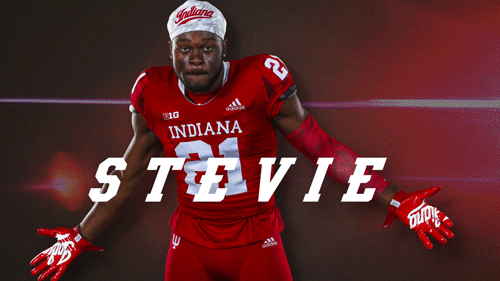 Stevie-1.gif