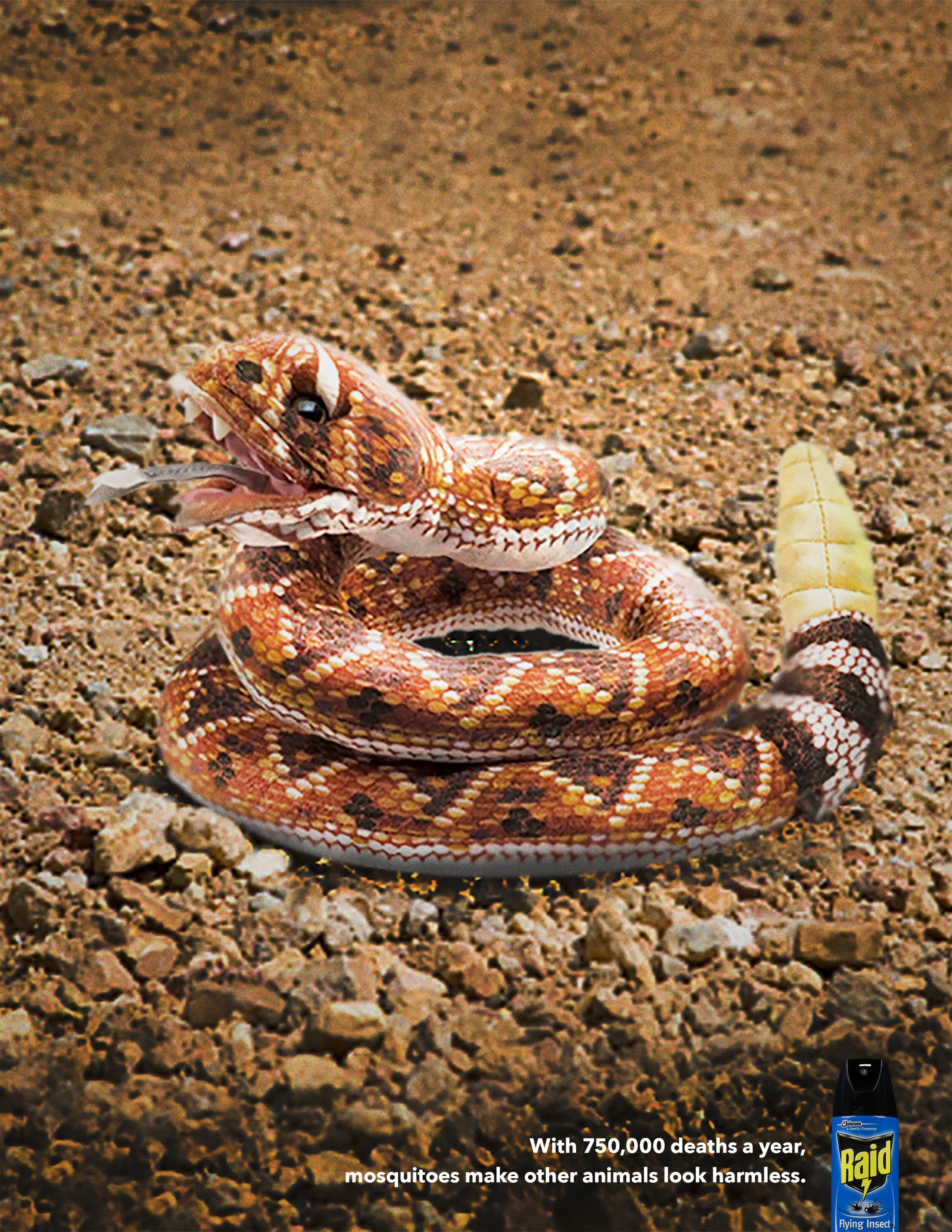 Raid-DeadlyAnimals_0001_Layer Comp 2.jpg