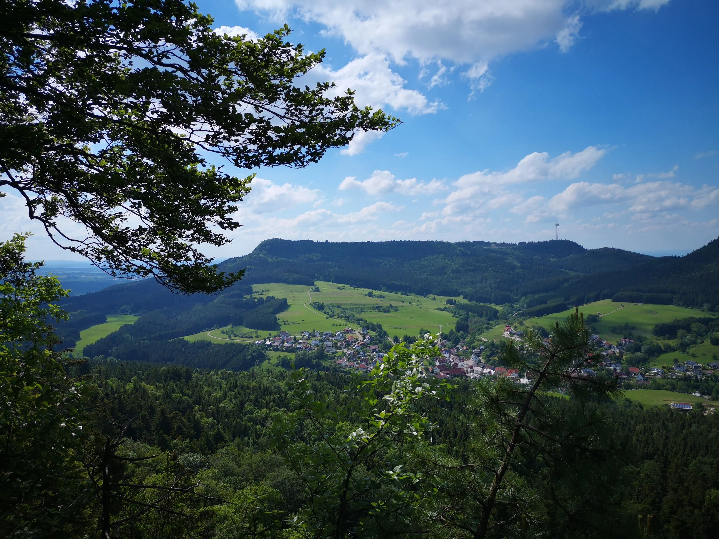 IMG_20190617_165034.jpg