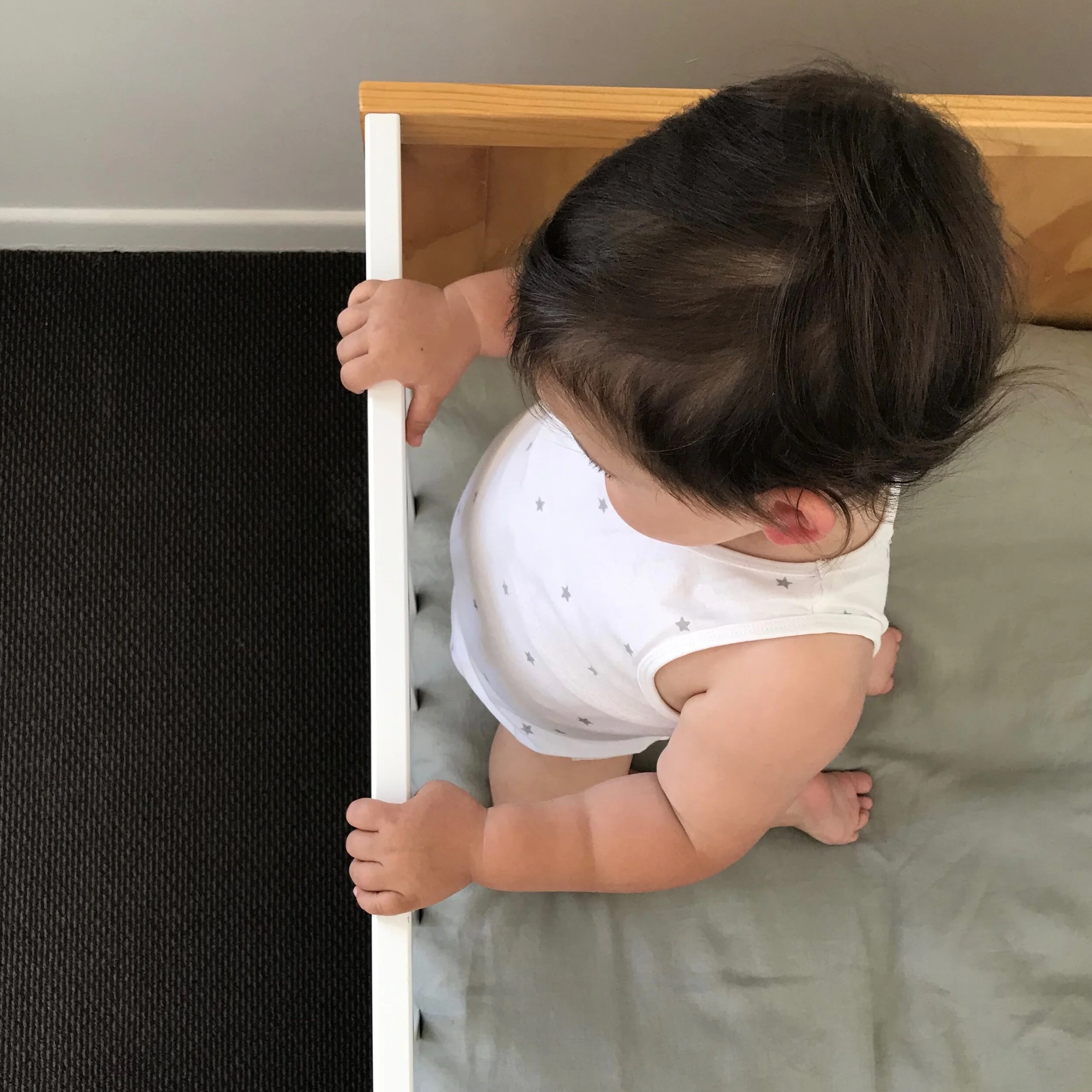 AA03DC17-CC7E-4364-9E90-EB3D9BA9261A