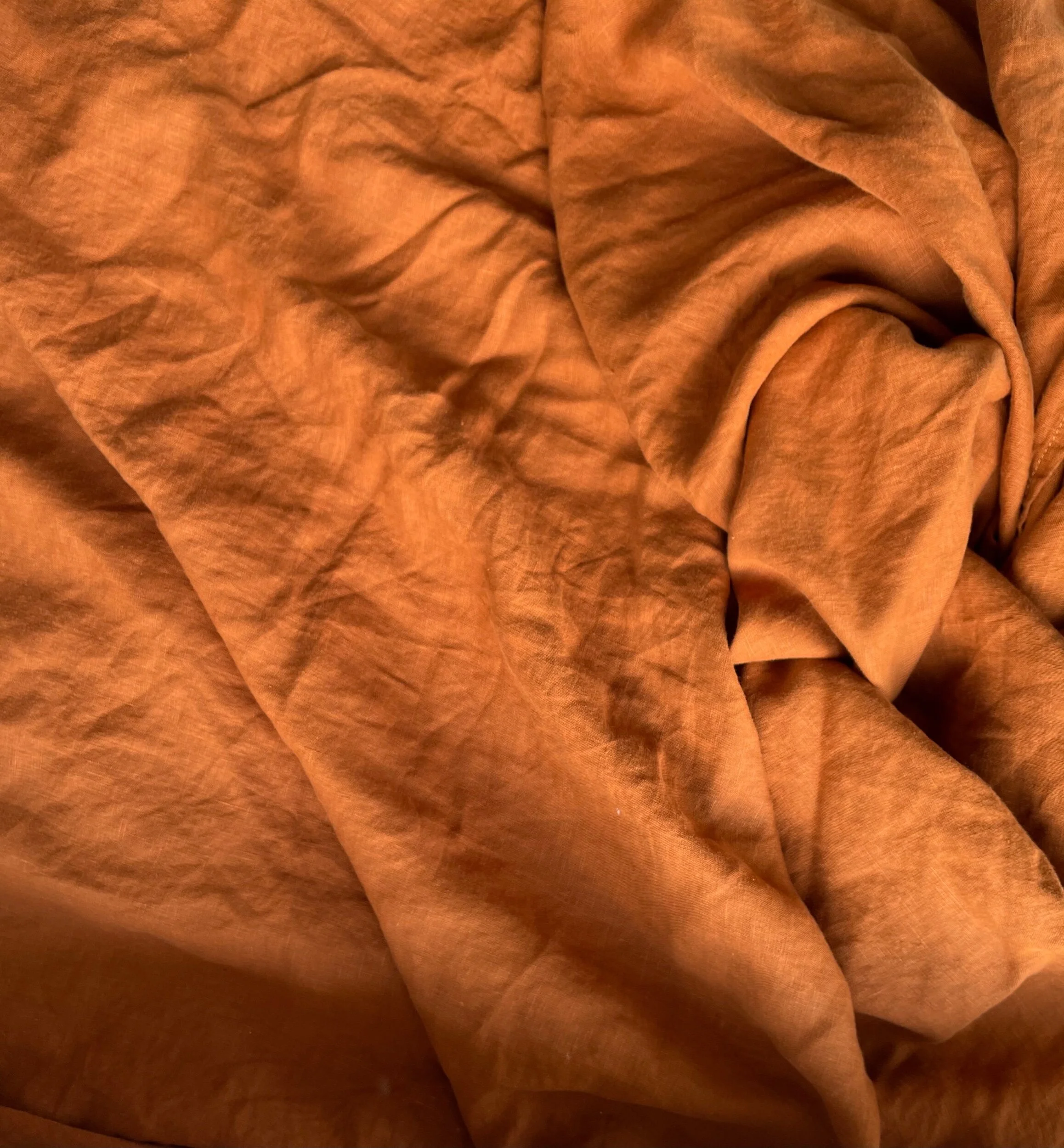 096B7A7B-B971-4D91-B33F-521DD495D10D