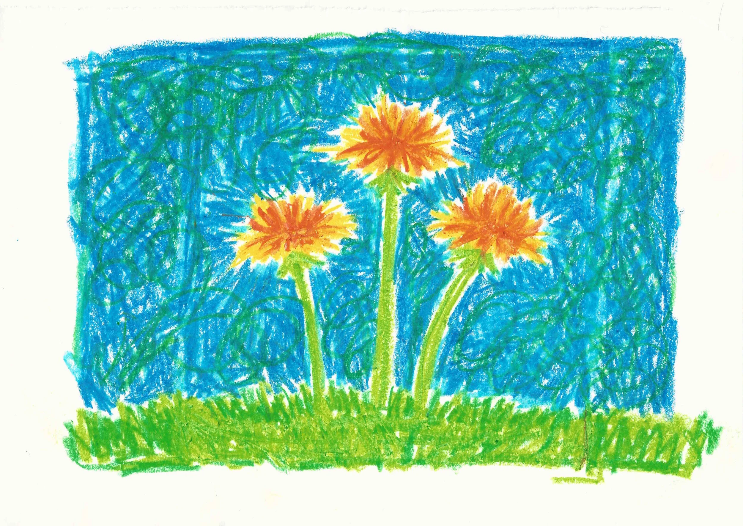 Drawing of sunflowers by Freya Ward-Lowery