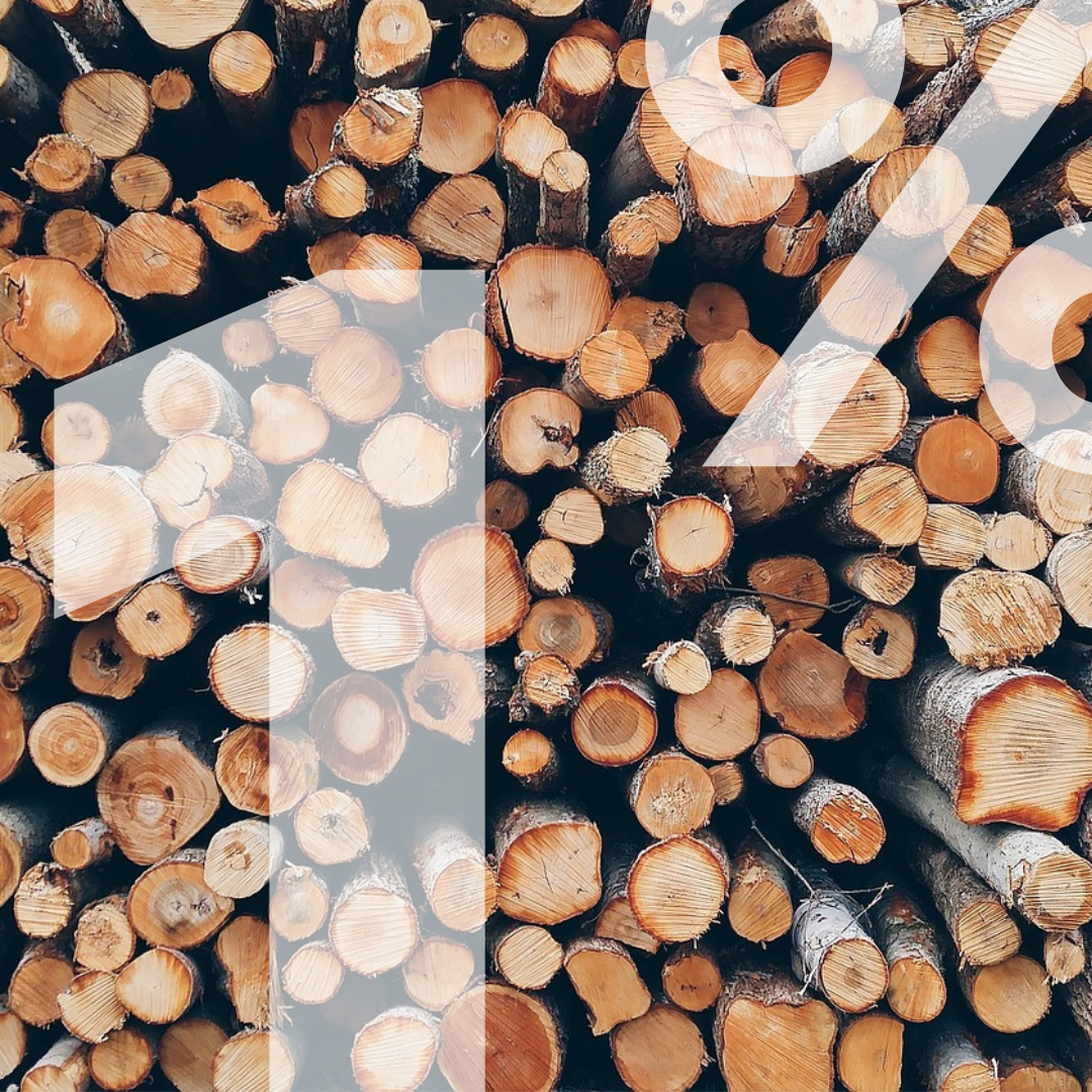 Reinventing British Timber 